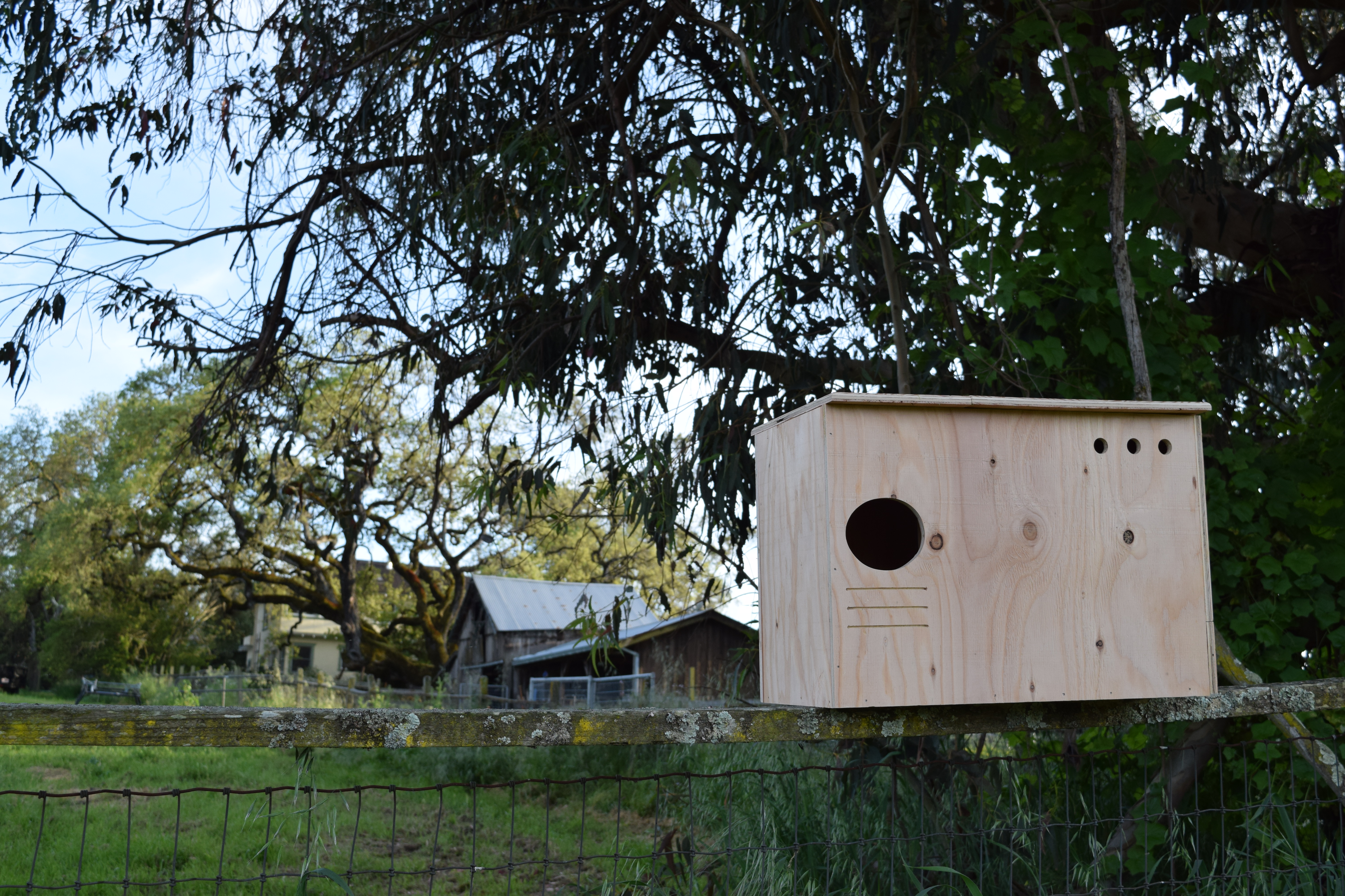 The Owl Abode owl box kit
