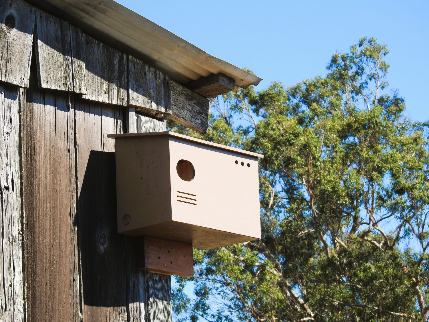 The Owl Abode Sonoma Land Trust